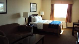 Comfort Inn & Suites - Edson - 1