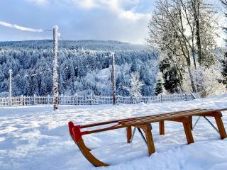 Pension Gasthof Arriach - 4