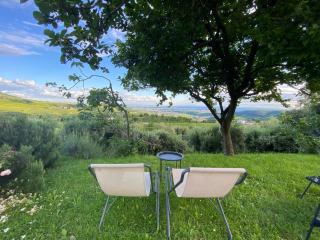 Agriturismo La Perlara - Adults Only - Verona - 1