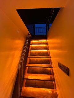 Iconic Backwater Cruise - 1