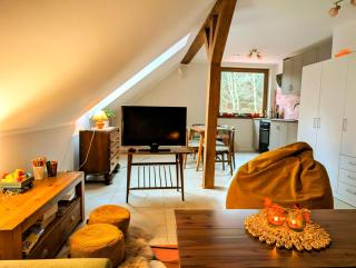 Wilczy Apartament - - 2