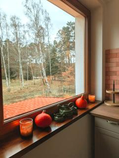 Wilczy Apartament - - 4