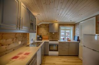 Modern Comforts, and Ski Access - Beitostøl - 6