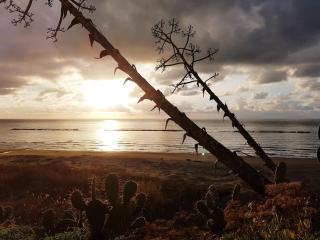 Domus Neroniana - Ingresso privato alla spiaggia. - 0