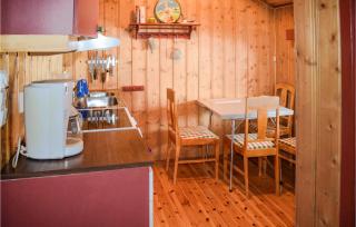 Nice Home In Rauland With Kitchen - Rauland - 7