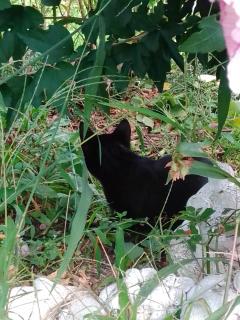 Gästehaus Brunhilde - 5