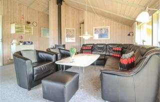 Holiday Home Arvidvej Dnmk Xiii - Bjerregård - 3