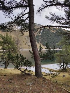 T2 chaleureux St Lary village - Saint-Lary-Soulan - 8