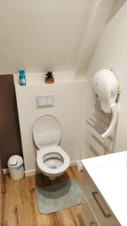 Joli petit studio neuf idéalement situé Walibi 7 min - Les Avenières - 1