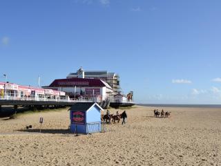 Apartment 2 The Pier - Uk31821 - Great Yarmouth - 2