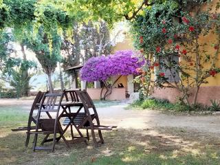 MAS DE BERNIS - Estiu - L'Aldea - 4