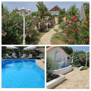 Paradise-Garden-Zamardi - Zamárdi - 9