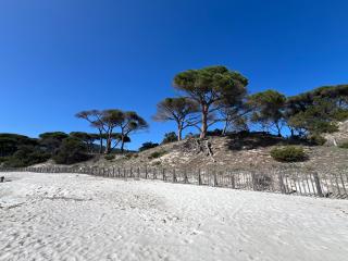 Location T2 44 m2 proche plage Lecci appartement 82 - Lecci - 2