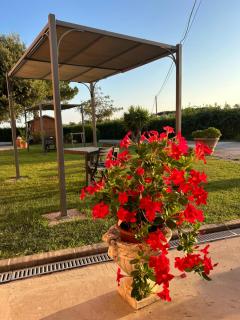 Agriturismo da Michele e Carmela di Voli Patrizia - 1