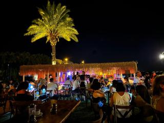 Palm Beach Hotel - Küçükkuyu - 2