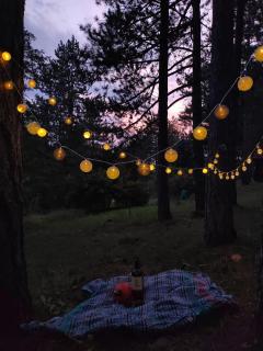 Srebrna pahulja - Zlatibor - 2