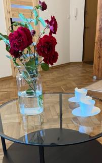 Apartament Przy Piotrkowskiej - Łódź - 2