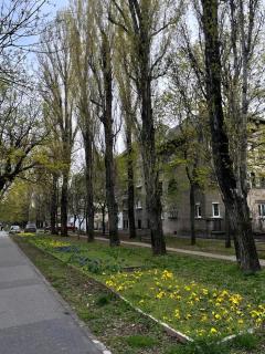 Albert Apartment near MVM Dome - 9