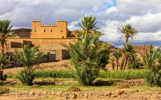 Riad Du Sud - Tamsahelt - 7