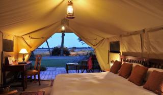 Sweetwaters Serena Camp - Nanyuki - 8