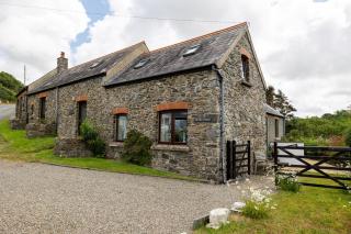 Ffesant - Haverfordwest - 9