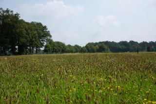 Safaritent 4 persoons camping Lindershoeve Bergeijk - 4