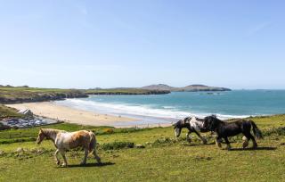 Craig Yr Haul - St. Davids - 1
