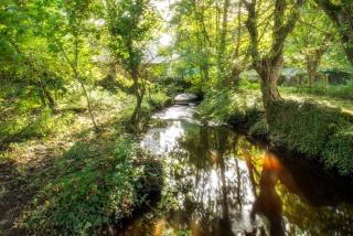 Penrhiw Priory - Haverfordwest - 4