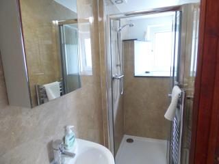 Dingle Cottage - Haverfordwest - 4