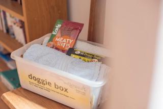 Willowcot Cottage - Haverfordwest - 6