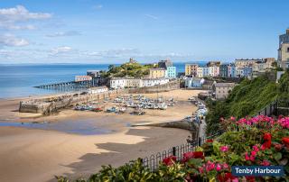 Middle Hill Cottage - Amroth - 7