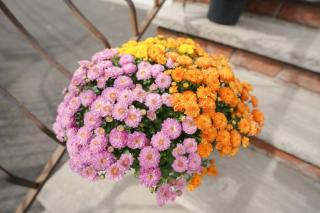 Newark Liberty Brick House - Private Bedroom 3 - 3