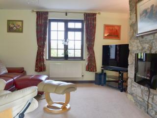 Tripp Cottage - Saint Neot - 9