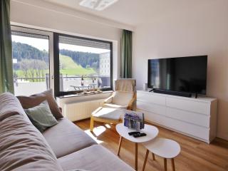 Appartement HappyNest*** mit Hallenbad - Willingen - 6