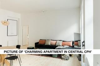 Central City Flats on Best Location by Round Tower - Copenaghen - 5