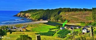 Casa con vistas únicas a la Playa de Cueva, Asturias - 9