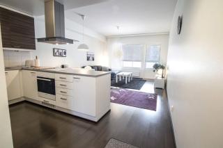 Kotimaailma - One bedroom with sauna and balcony - Turku - 4