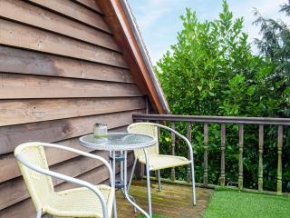 The Studio - Dinmore - 9