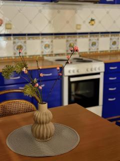 Dekster apartmani - Valjevo - 1