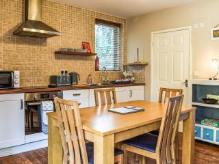 Mattys Place - Nannerch - 6