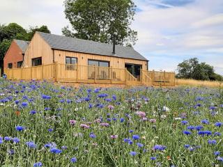 Bournes Homestead - Hagwothingham - 0