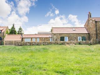Ivylea Barn - Glaisdale - 9