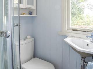Farmhouse Garden Shepherds Hut - Thursley - 3
