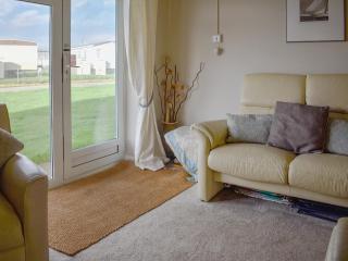 Mr Seal - Uk41452 - Hunstanton - 8