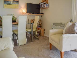 Mr Seal - Uk41452 - Hunstanton - 7