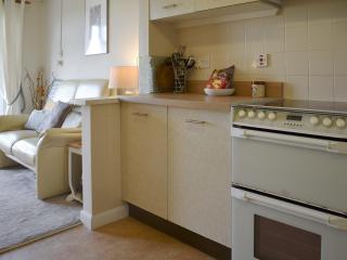 Mr Seal - Uk41452 - Hunstanton - 5