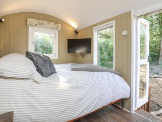 Sybs Farm Shepherds Hut - Fernhurst - 2