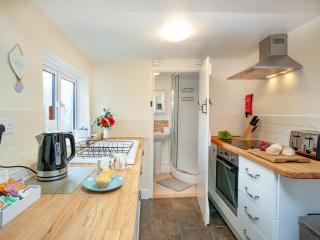 Otters Cottage - Ottery Saint Mary - 1