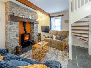 Ivy Bush Cottage - Llanddewi-Brefi - 9