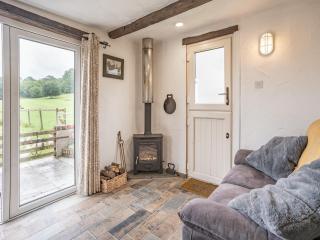 Molehill Lodge - Ammanford - 8